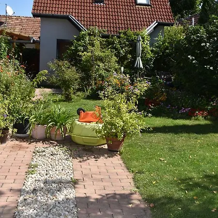 Lenart House 2