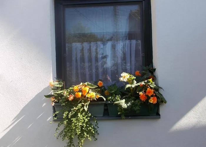 Lenart House 2 Ferienhaus *
